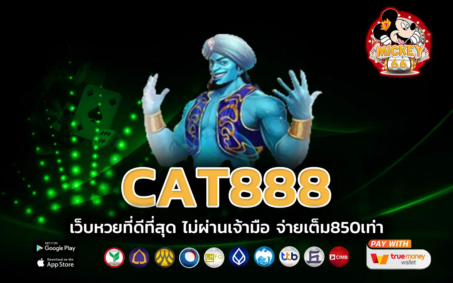 cat888