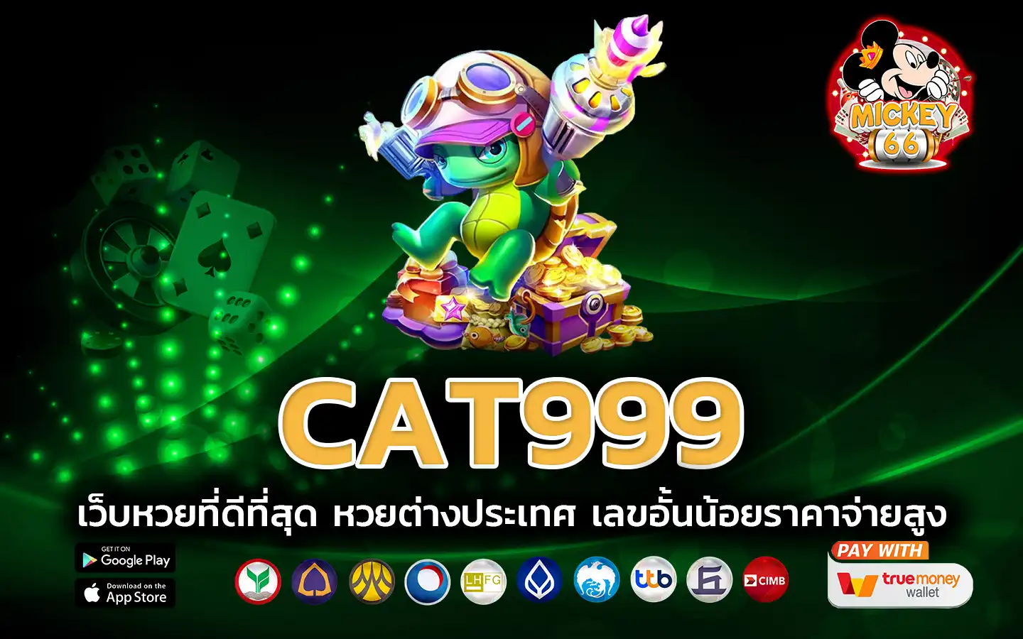 cat999